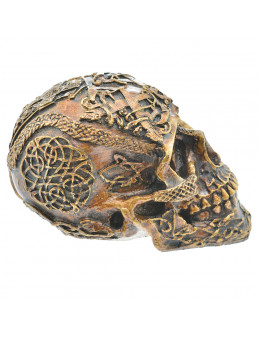 Crâne en résine sculptée