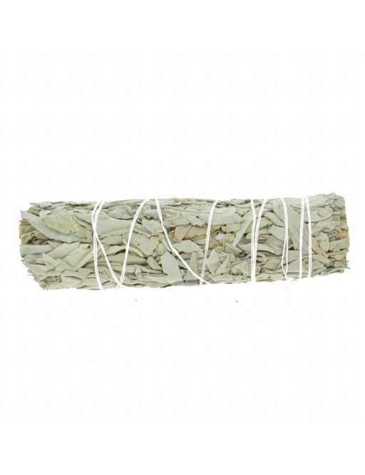 Sauge Blanche Californie Ficelle 50g