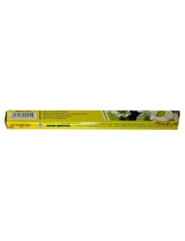 Encens shashi Camomille