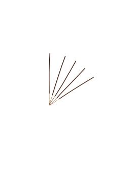 Encens Hexa Providence Vierge Miraculeuse - Rose - 33g