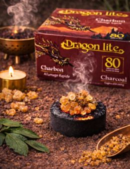 Charbon 40 mm Dragon Lite Qualité Supérieure