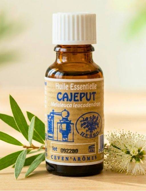 Huile essentielle de Cajeput 20 mL avec Compte-goutte