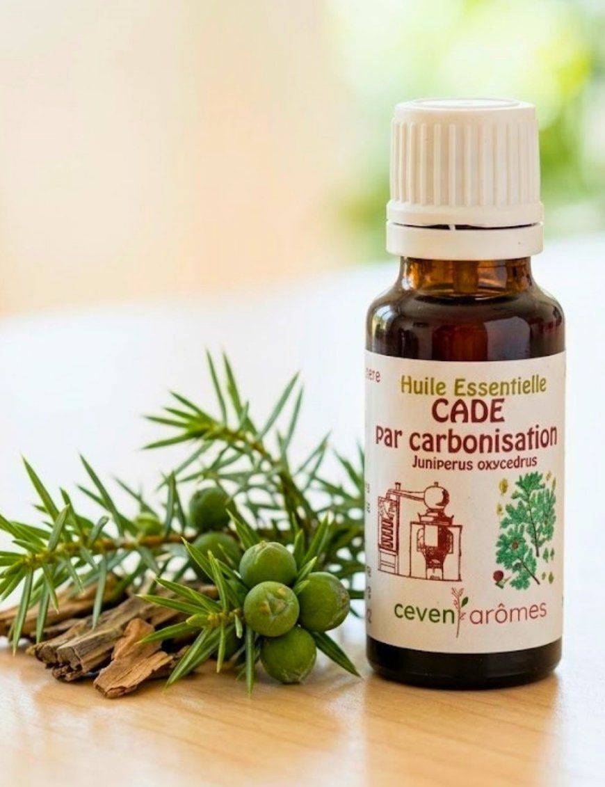 Huile essentielle de Cade par carbonisation 20 ml avec Compte-gouttes
