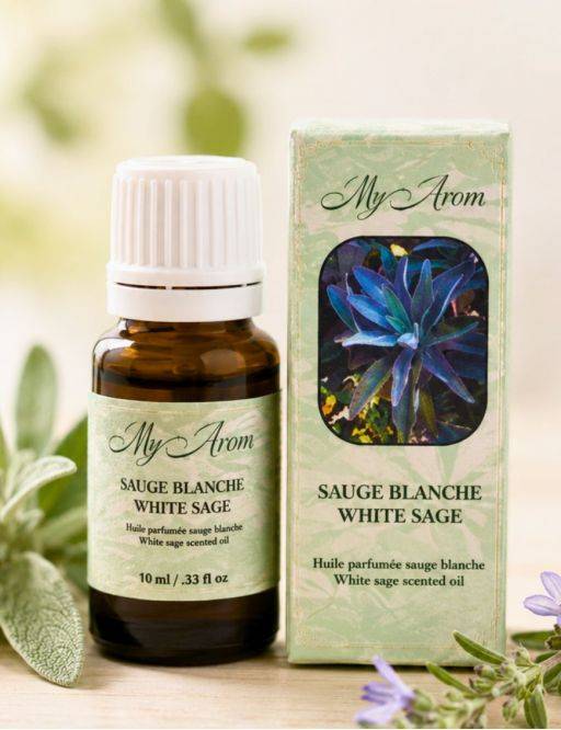 Huile Parfumé Providence Sauge Blanche - 10 mL