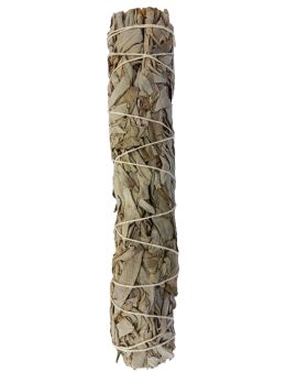 Fagot Sauge Blanche amérindienne 22cm 90-100g