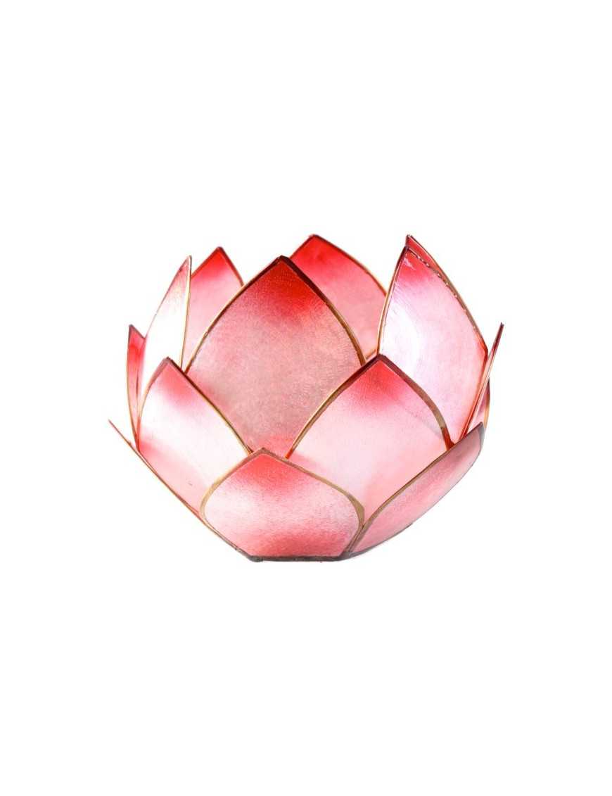 Lotus Crépuscule