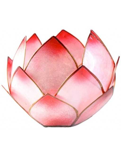 Lotus Crépuscule