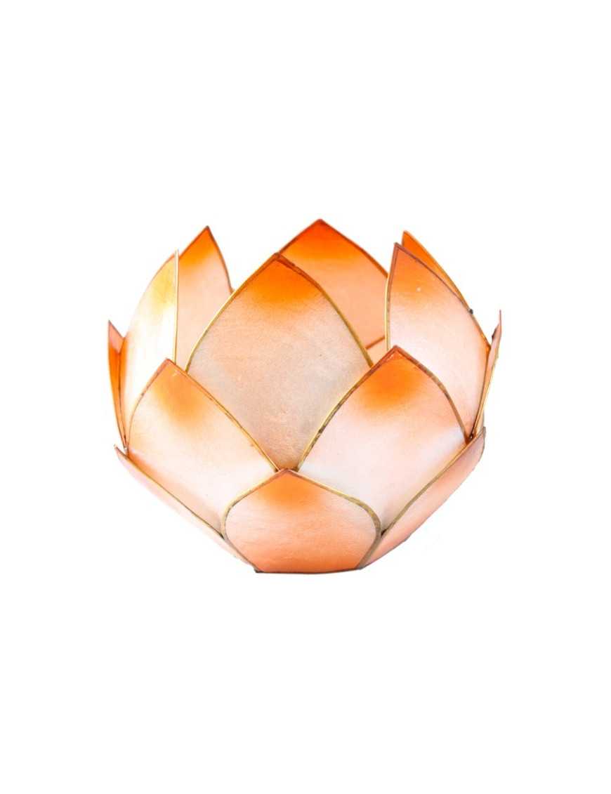 Lotus Crépuscule