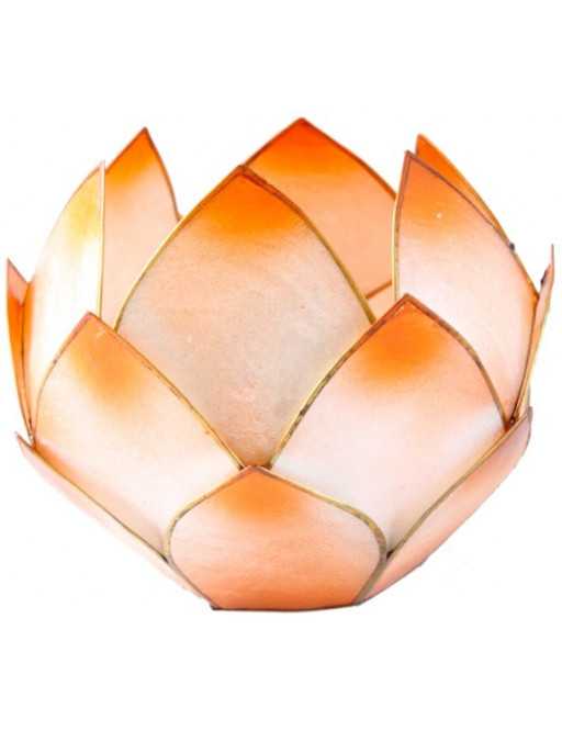 Lotus Crépuscule