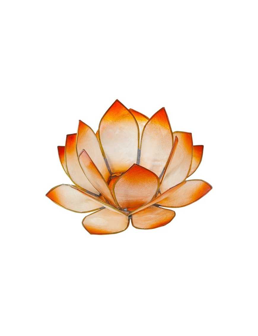 Lotus Crépuscule