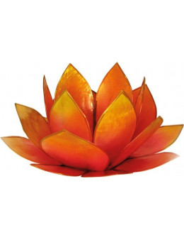 Lotus Crépuscule